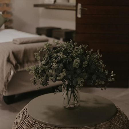 Villa Rose Guesthouse & Venue Блумфонтейн Экстерьер фото