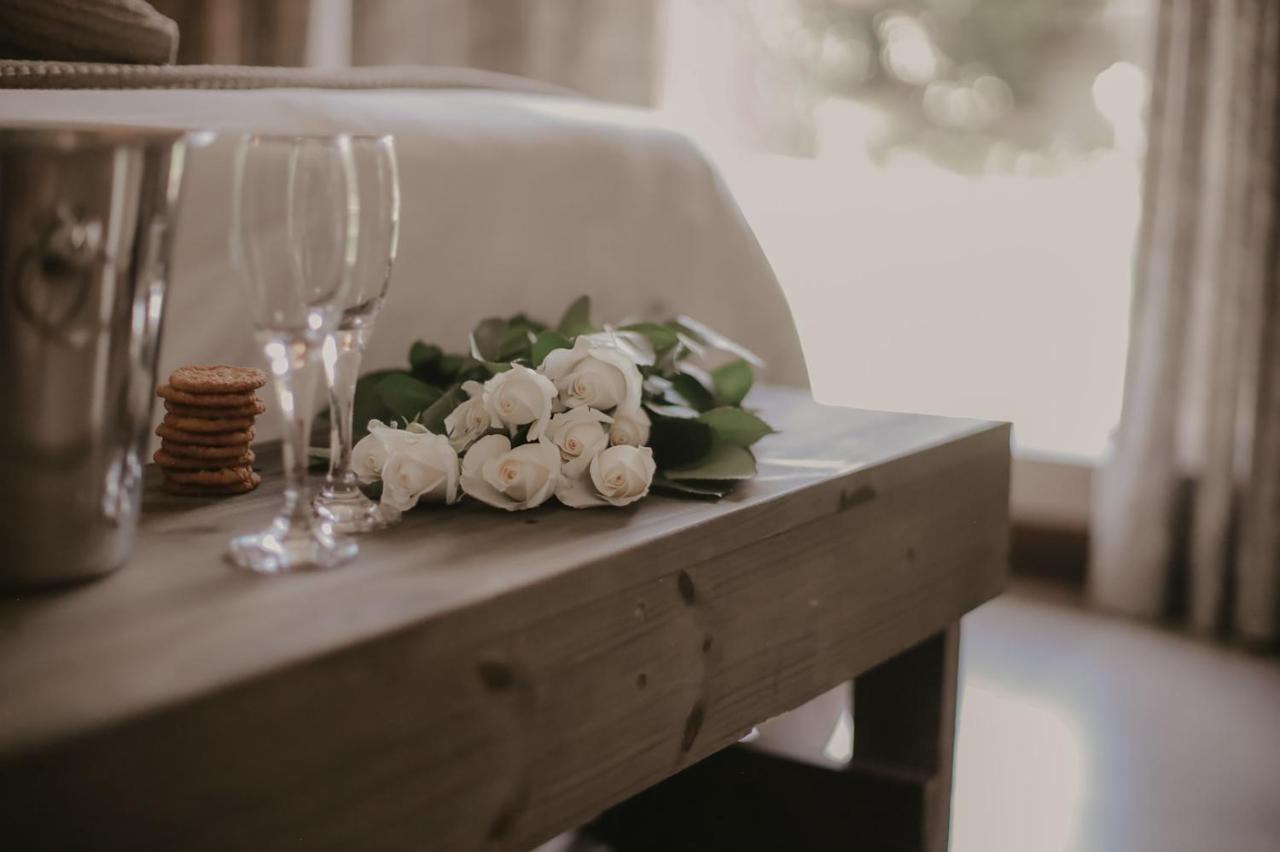 Villa Rose Guesthouse & Venue Блумфонтейн Экстерьер фото